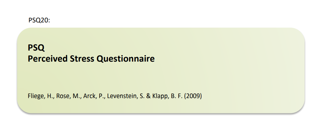 Fragebogen // Perceived Stress Questionnaire